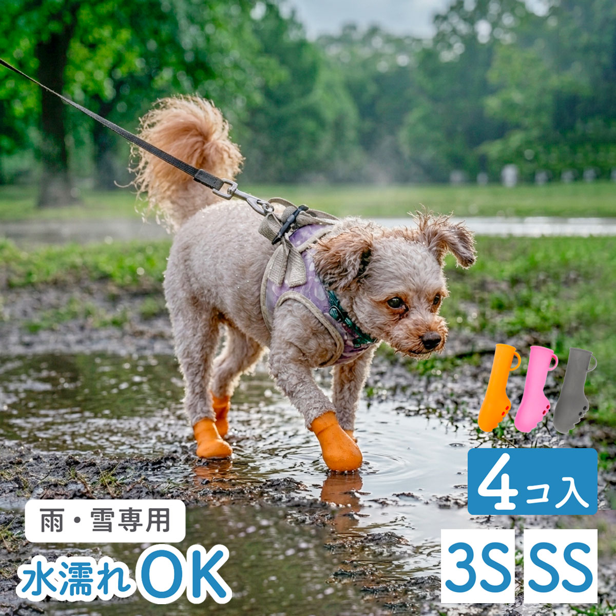 パウテクト