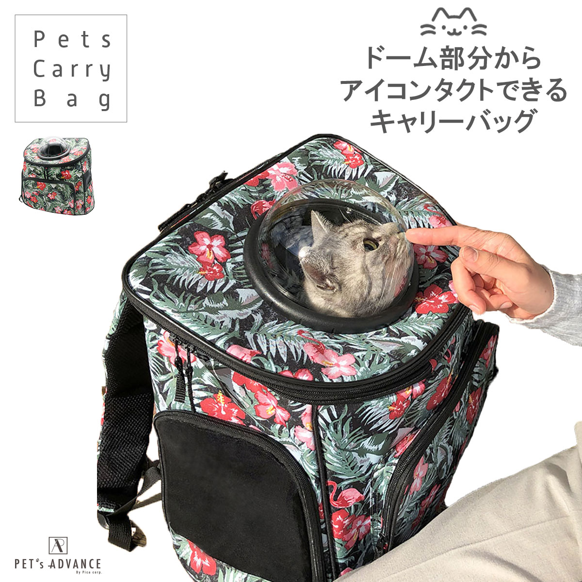 キャリーバッグ