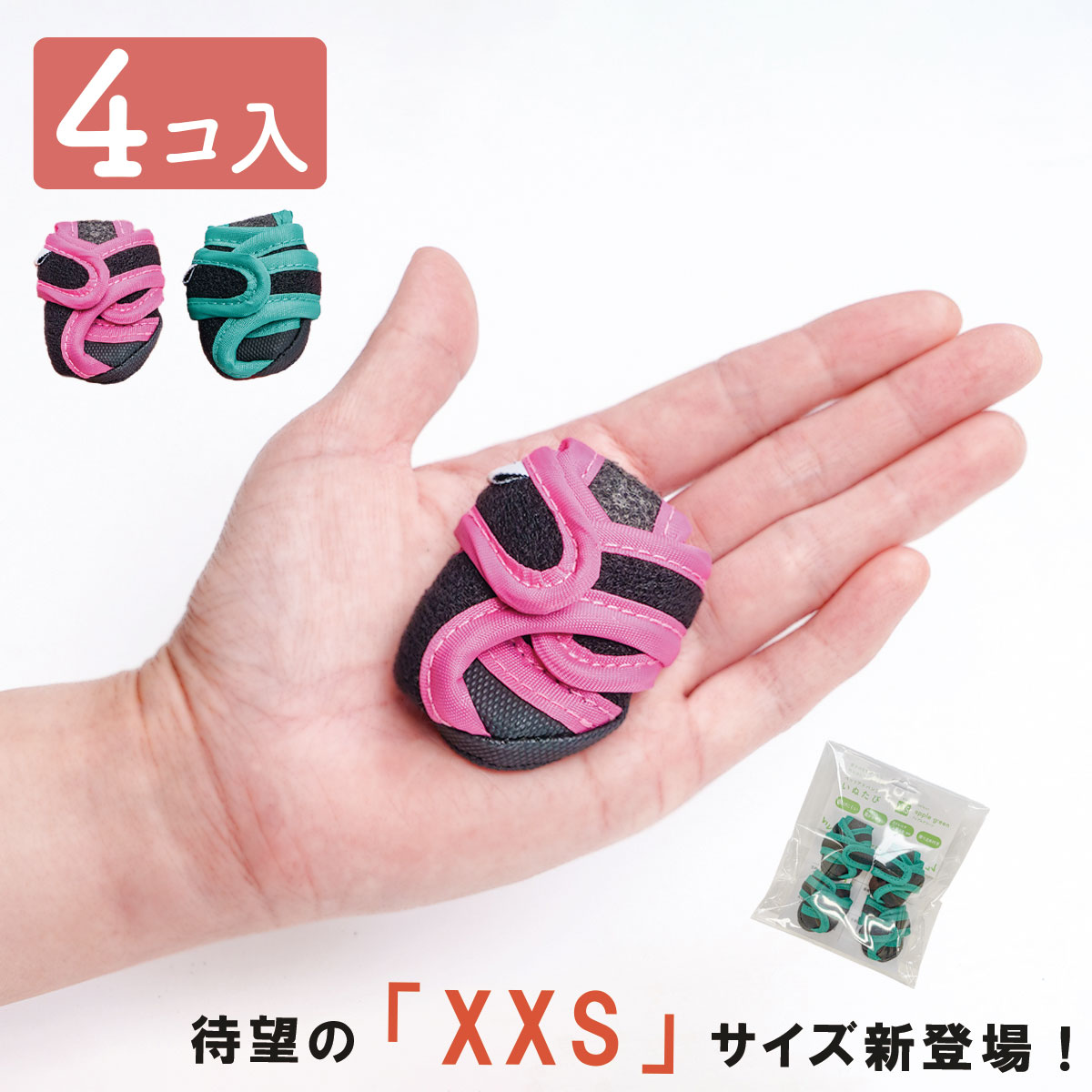 いぬたび