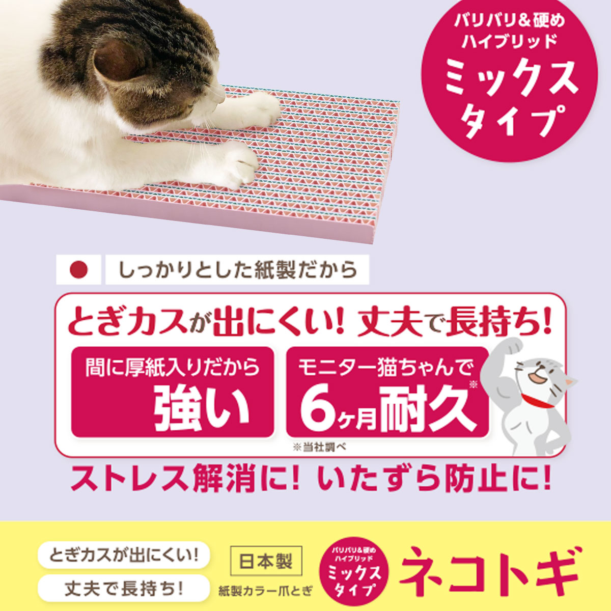 ネコトギ