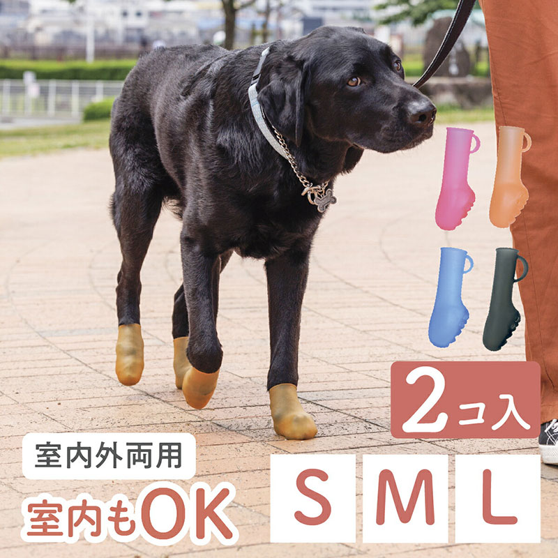 パウテクト