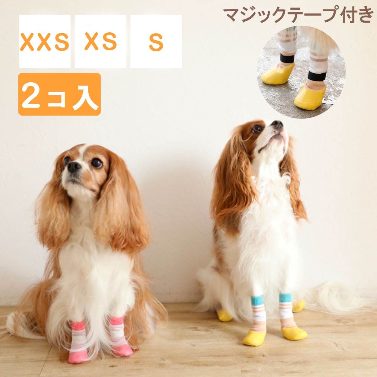 スキッタープラス